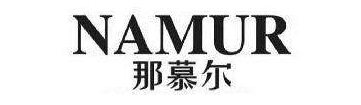 什么是NAMUR輸出標準 什么是NAMUR輸出標準