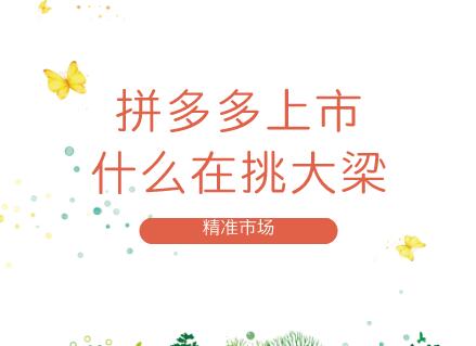 堪稱電商傳奇的拼多多，快速崛起給儀器儀表企業的啟示